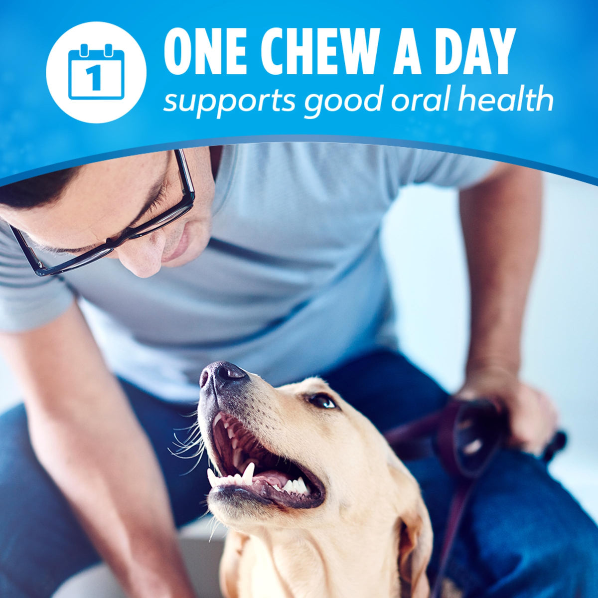 Dentalife Purina Daily Dental Chews for Large Dogs, 18 ct Pouch