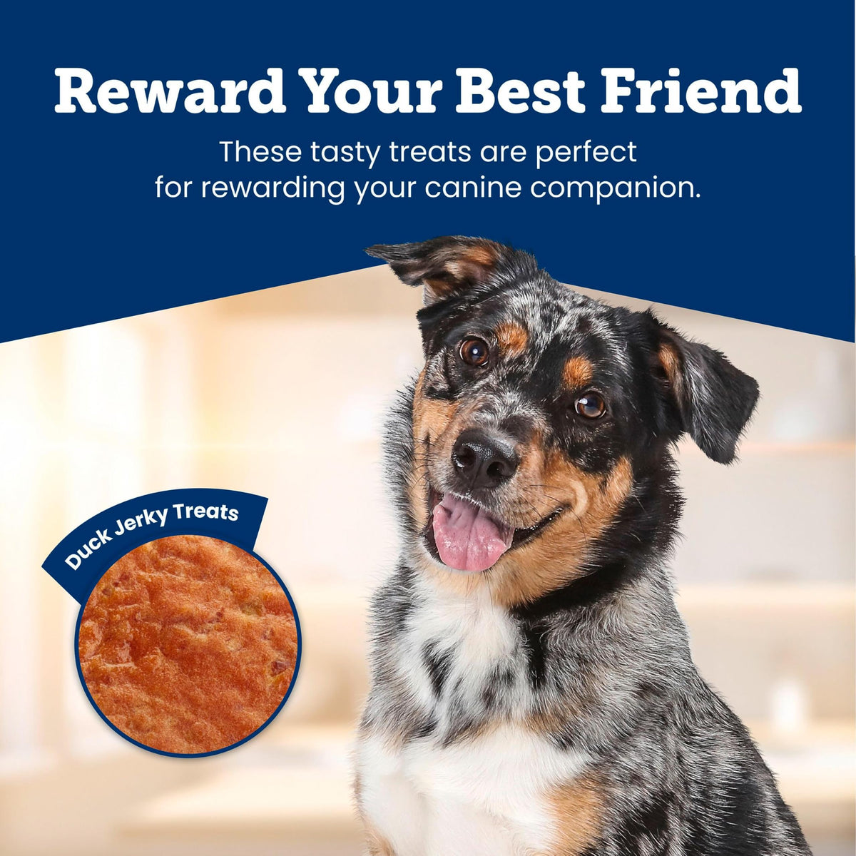 Blue Buffalo True Chews Premium Jerky Cuts Steak Dog Treats, 10 oz