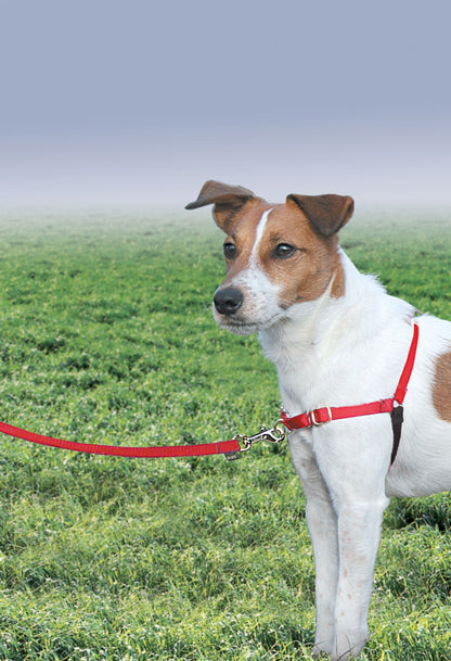 PetSafe Easy Walk Harness, No Pull Dog Harness, Raspberry, Medium/Large