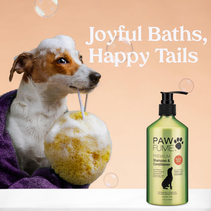PAWFUME Dog Shampoo and Conditioner, Blue Ribbon, 1-Pack