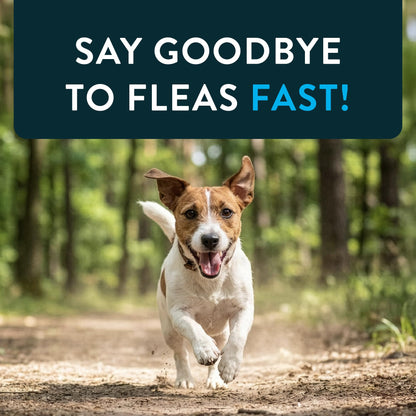 Capstar for Dogs (nitenpyram), Fast-Acting Oral Flea Treatment for Dogs Over 25+ lbs, Vet-Recommended Flea Medication Tablets Start Killing in 30 Minutes, 6 Doses