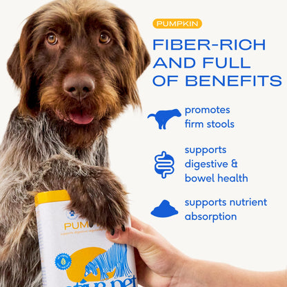 Native Pet GutWell Power Poop - Digestive Support & Fiber for Dogs - Promotes Healthy Stools, Supports Balanced Microbiome & Digestive Function - Triple-Biotic Blend & M-Fiber - 60 Scoops