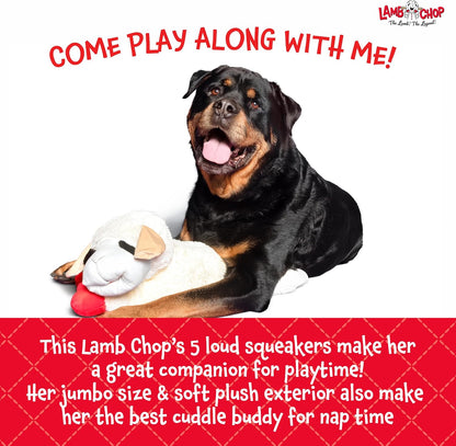 Multipet Lamb Chop Dog Plush Toy - Squeaky Toy for All Dogs - Extra Soft Plush - Stuffed Animal for Cuddling & Playing - Jumbo (24", Cream)