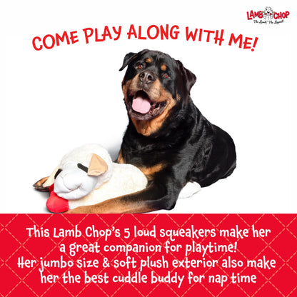Multipet Lamb Chop Dog Plush Toy - Squeaky Toy