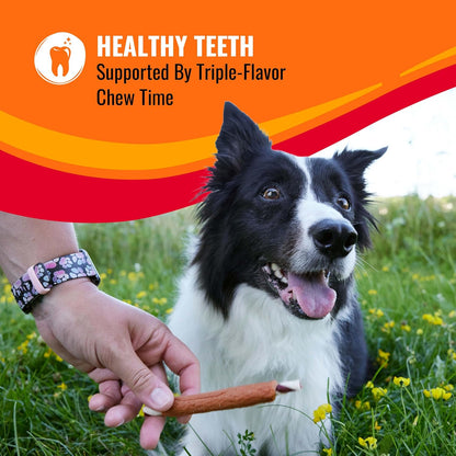 Good 'n' Fun Roll Long-Lasting Dog Treat for Large Dogs, 6 Count