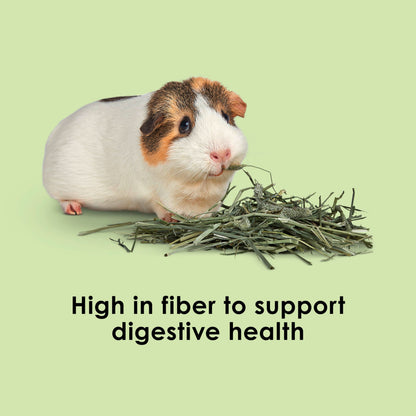 Kaytee Timothy Hay, High Fiber for Rabbits, Guinea Pigs, 48 Ounces