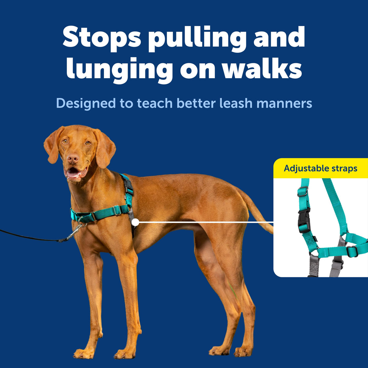 PetSafe Easy Walk Harness, No Pull Dog Harness, Raspberry, Medium/Large