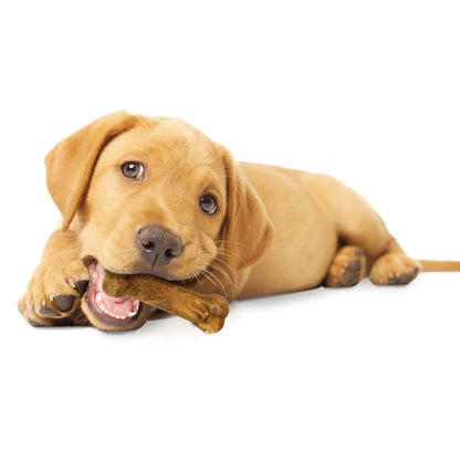 Nylabone Healthy Edibles Puppy Dog Treats Variety Pack, 3 Count