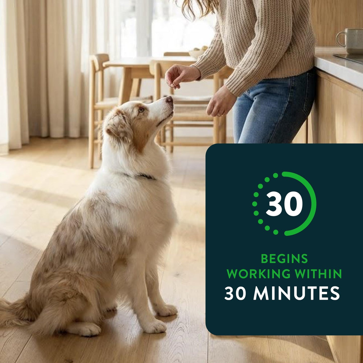 Capstar for Dogs (nitenpyram), Fast-Acting Oral Flea Treatment for Dogs Over 25+ lbs, Vet-Recommended Flea Medication Tablets Start Killing in 30 Minutes, 6 Doses
