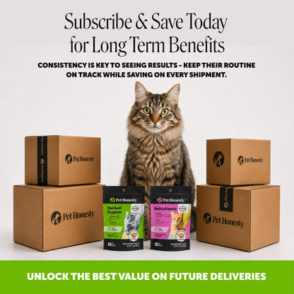 Cat Hairball Remedy Treats - Dual Texture Crunchy Creamy Hairball Treatment for Cats, Furball Relief Control Supplement with Fiber, Fish Oil for Indoor Cats Skin Coat Digestion (90-Day Supply)