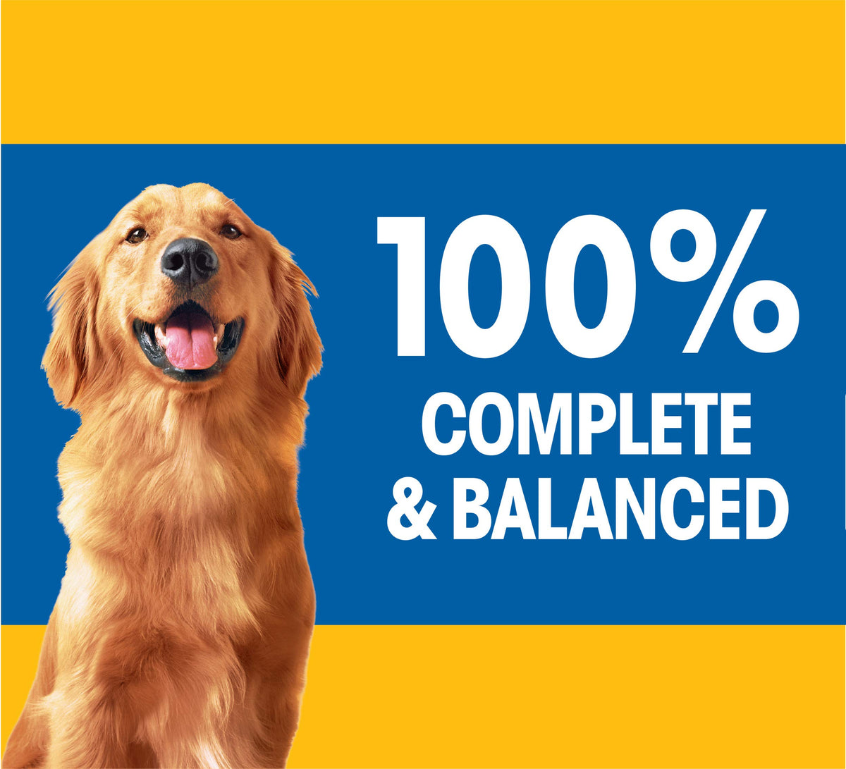 Pedigree Adult Complete Nutrition Dry Dog Food, Steak & Vegetable, 18 lb