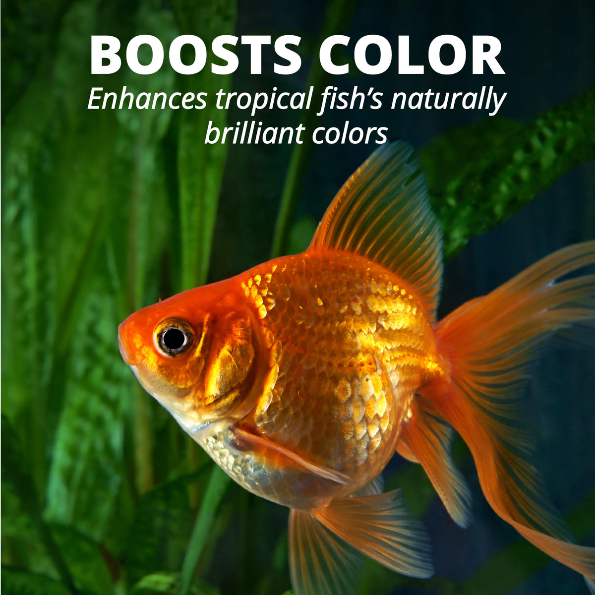 Tetra Goldfish Flakes, Nutritionally Balanced Diet For Aquarium Fish, Vitamin C Enriched Flakes, 0.42 oz