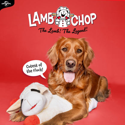 Multipet Lamb Chop Dog Plush Toy - Squeaky Toy