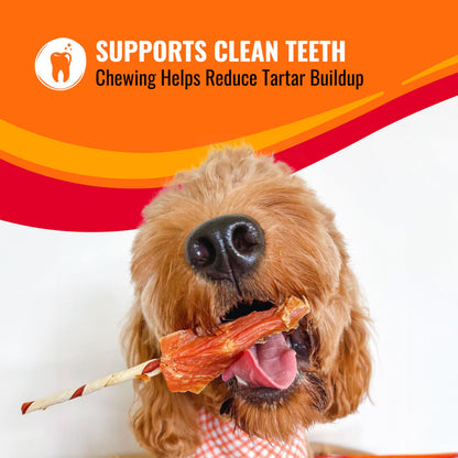 Good 'n' Fun Roll Long-Lasting Dog Treat for Large Dogs, 6 Count