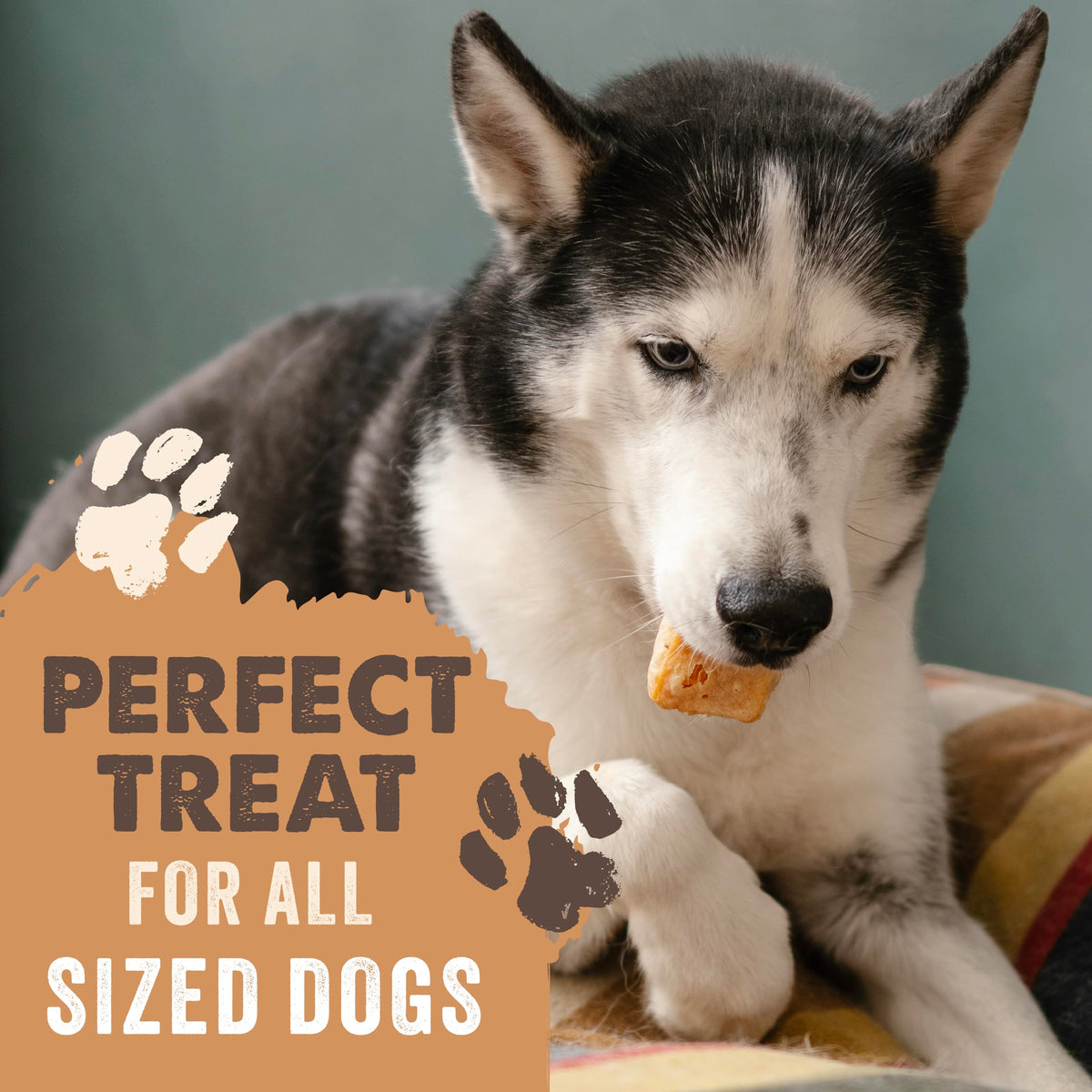 Mighty Paw Yak Chews, Long Lasting Hard Chew for Large Dogs, 4 Pack