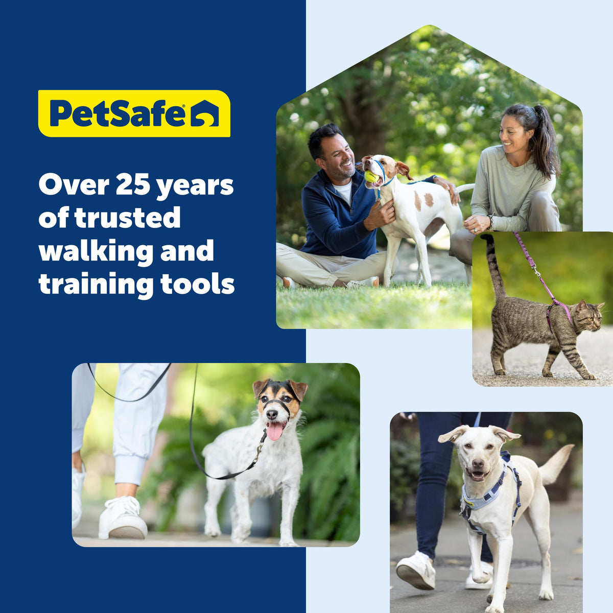 PetSafe Easy Walk Harness, No Pull Dog Harness, Raspberry, Medium/Large