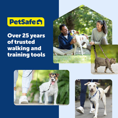 PetSafe Easy Walk Harness, No Pull Dog Harness, Raspberry, Medium/Large