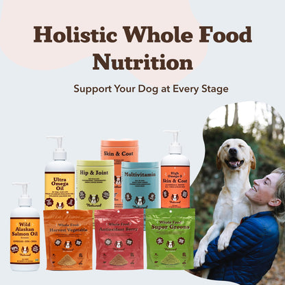 Natural Dog Company Wild Alaskan Salmon Oil for Dogs - 16 oz