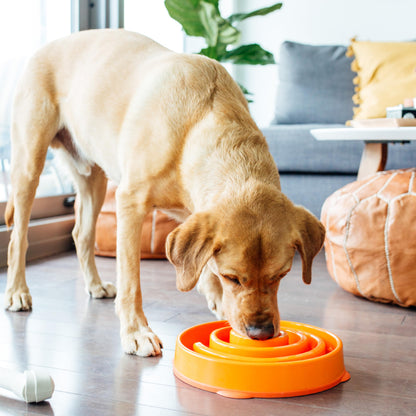 Outward Hound Fun Feeder Slo Bowl Dog Slow Feeder, Wave, Pink, 5.8"
