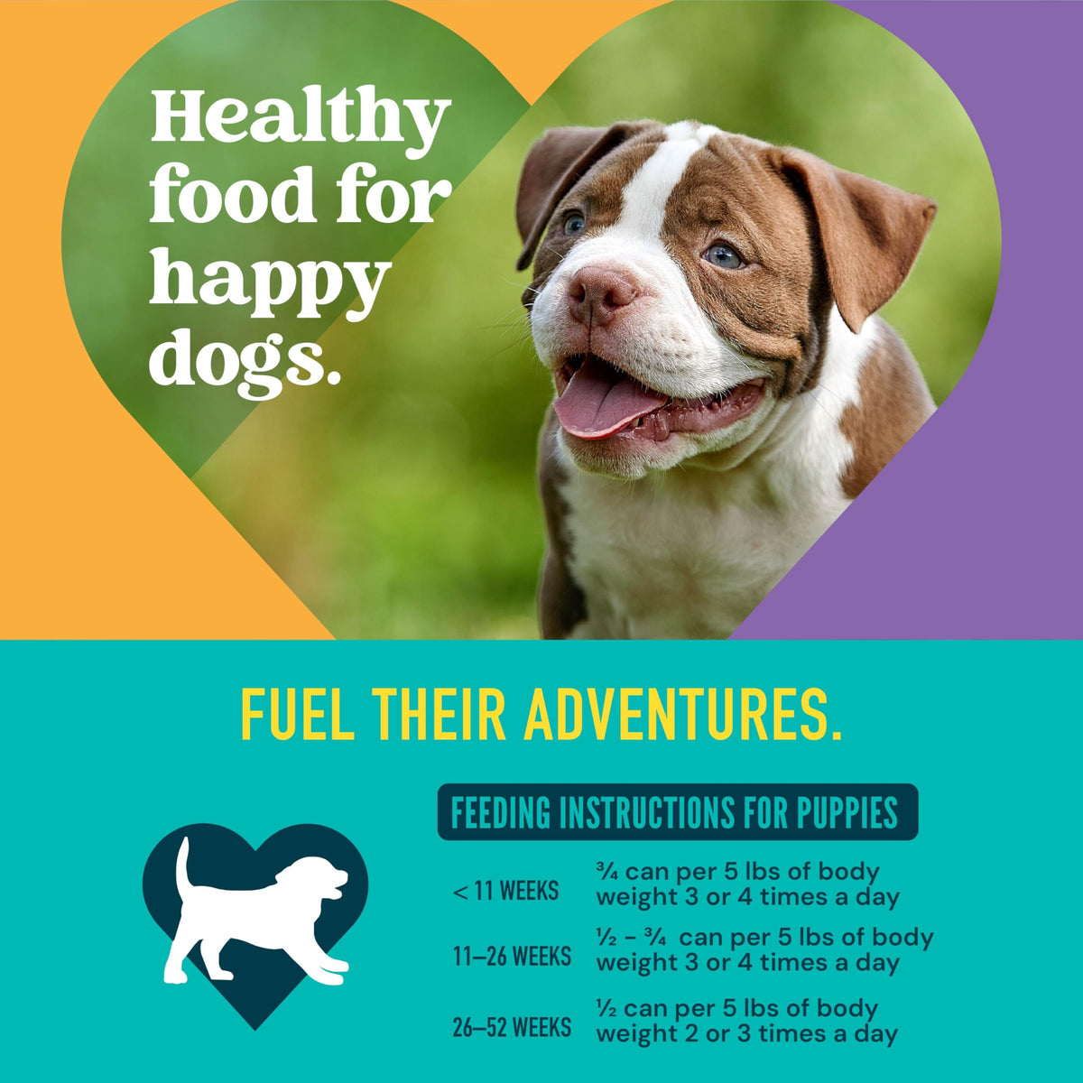 A Strong Heart Chopped Dog Food, Real Beef Dinner, 13.2oz Cans, 12pk