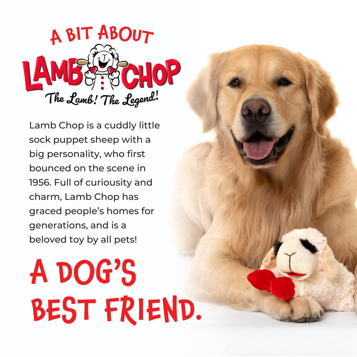 Multipet Lamb Chop Dog Plush Toy - Squeaky Toy