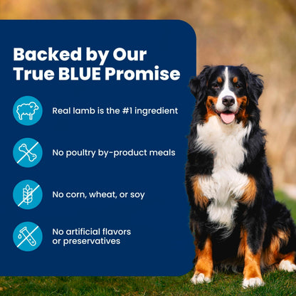 Blue Buffalo Life Protection Formula Beef Adult Dry Dog Food, 34 lb