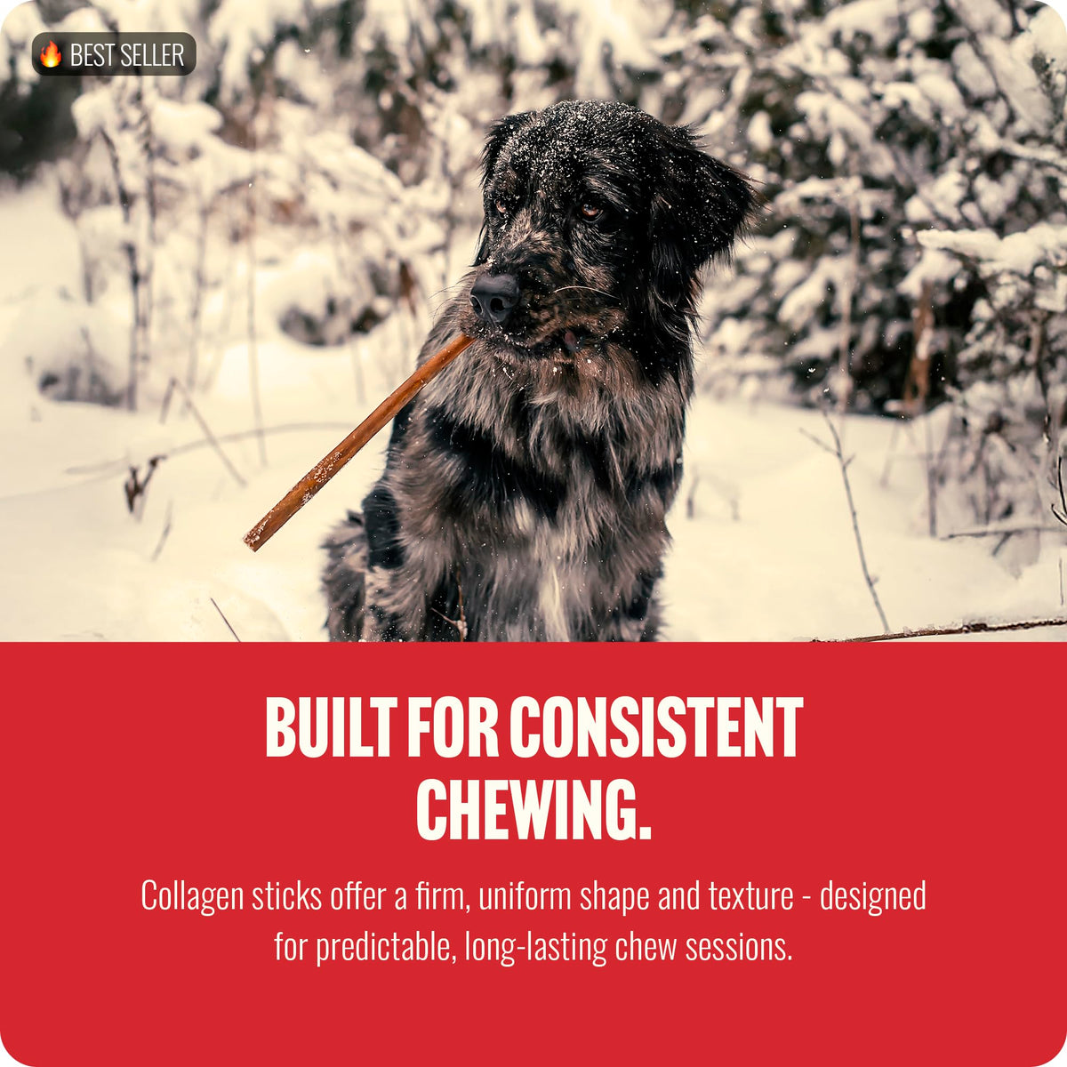 Natural Farm Odor-Free Bully Sticks (6 Inch, 25 count),1.3 lb. Bag, Fully Digestible 100% Beef Pizzle Chews,Grass-Fed, Non-GMO,Grain-Free, Natural Long-Lasting Chews for Small & Large Dogs. Pack of 25