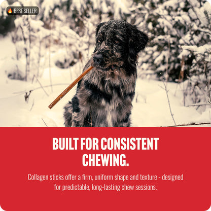 Natural Farm Odor-Free Bully Sticks (6 Inch, 25 count),1.3 lb. Bag, Fully Digestible 100% Beef Pizzle Chews,Grass-Fed, Non-GMO,Grain-Free, Natural Long-Lasting Chews for Small & Large Dogs. Pack of 25