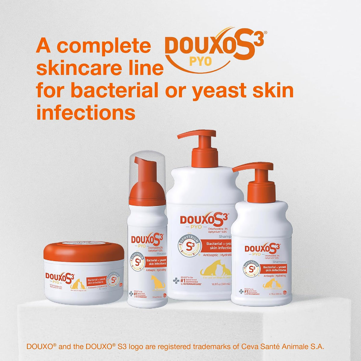 Douxo S3 PYO Medicated Dog Shampoo with 3% Chlorhexidine for Dogs – Antibacterial & Antiseptic Yeast Infection Treatment For Dogs & Cats, Clinically Proven, 6.7 fl oz
