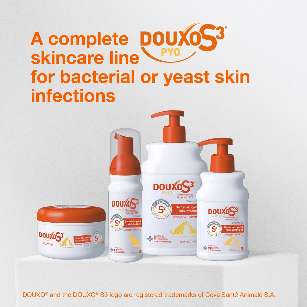 Douxo S3 PYO Medicated Dog Shampoo with 3% Chlorhexidine for Dogs – Antibacterial & Antiseptic Yeast Infection Treatment For Dogs & Cats, Clinically Proven, 6.7 fl oz