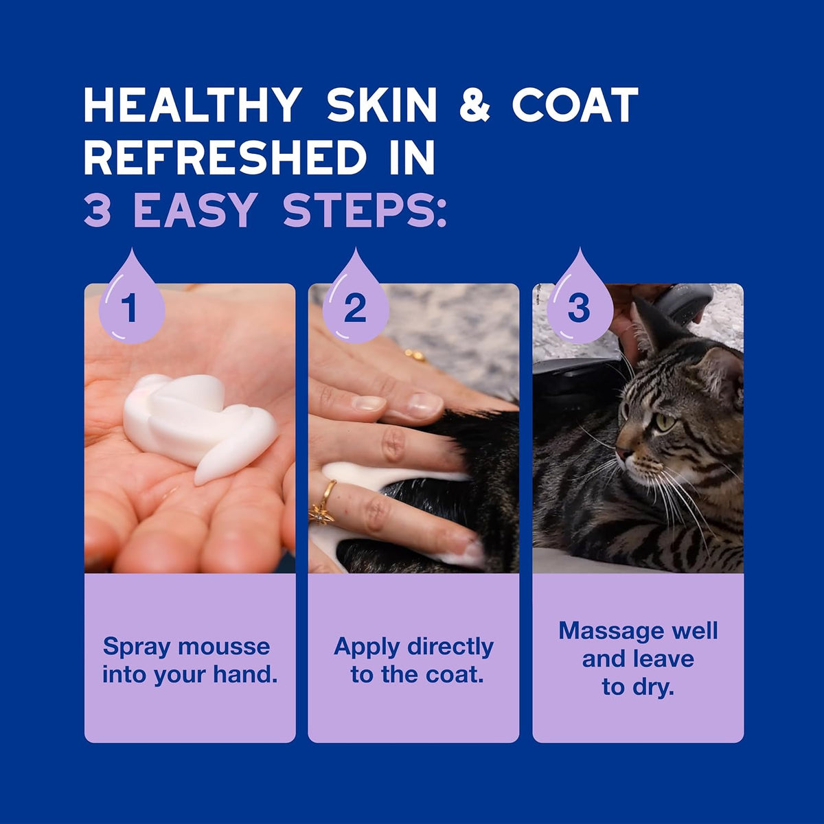 DOUXO SPA Waterless Cat Shampoo, 10 fl oz