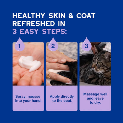 DOUXO SPA Waterless Cat Shampoo, 10 fl oz