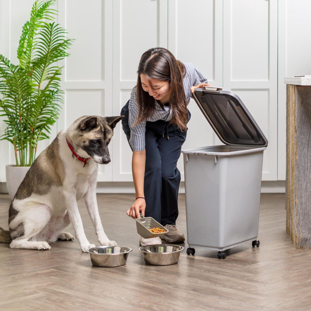 IRIS USA Dog Food Storage Container, Up to 10 lbs, Clear/Gray, Made in USA