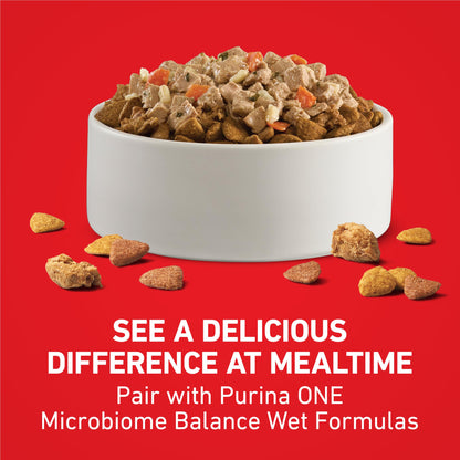 Purina ONE Chicken and Rice Formula Natural Dog Food