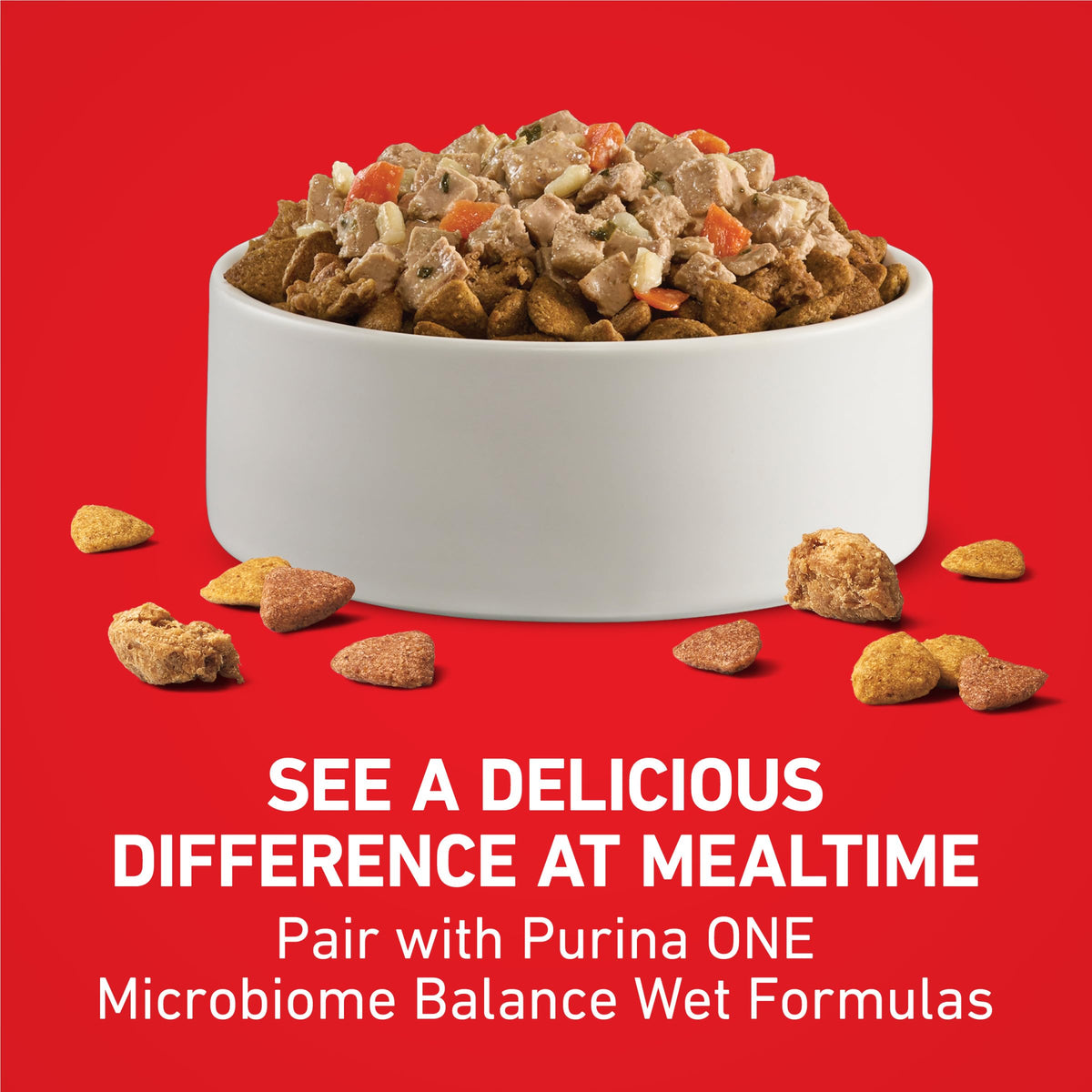 Purina ONE Lamb and Rice Formula Dry Dog Food for Digestive Support