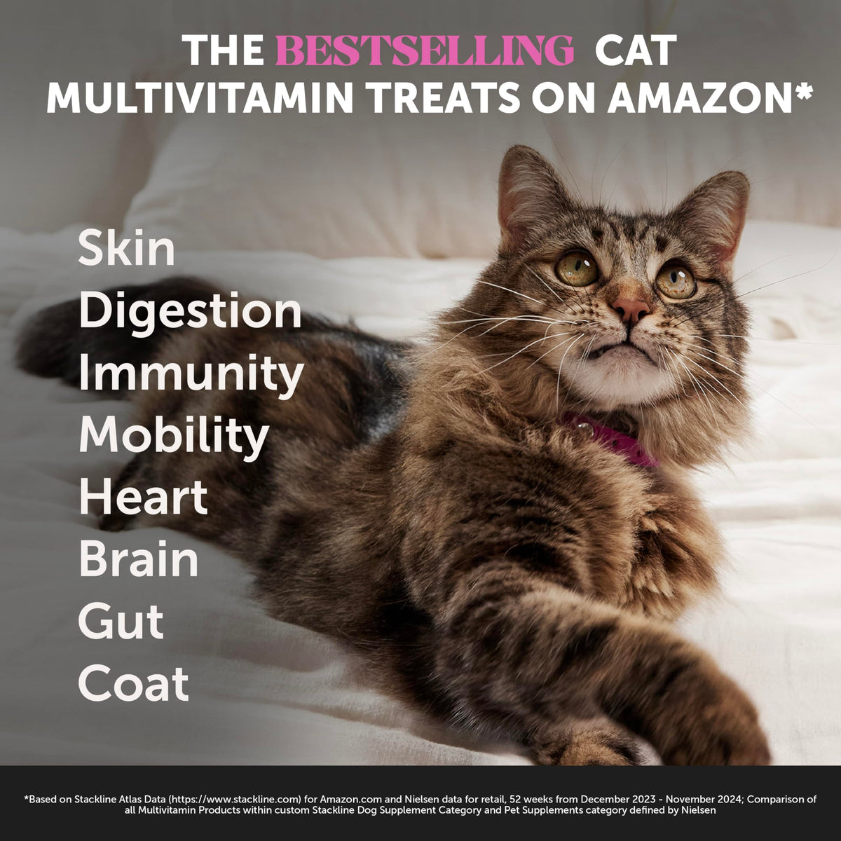 Pet Honesty Vet Backed Cat Multivitamin Lickable Puree, Salmon, 40 Ct