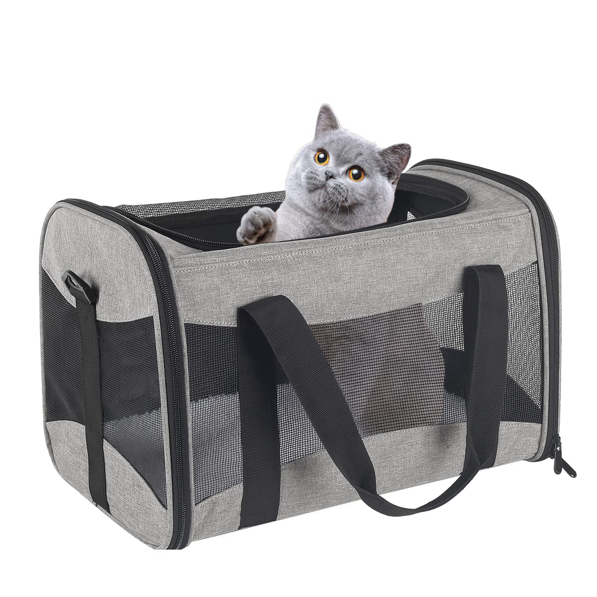 Cat Dog Carriers Soft-Sided Pet Carrier Large Cats for Medium Big Cat Small Dog Puppy up to 16lbs TSA Airline Approved Animal Collapsible Cat Carrier Carriers Travel Carrier Cat Bag (17x11x11)
