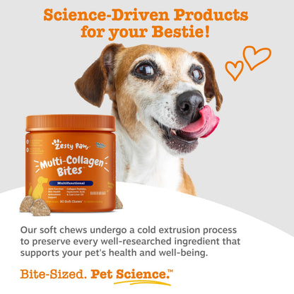 Zesty Paws Dog Vitamins - Dog Multivitamin Chews, Chicken, 90 Ct