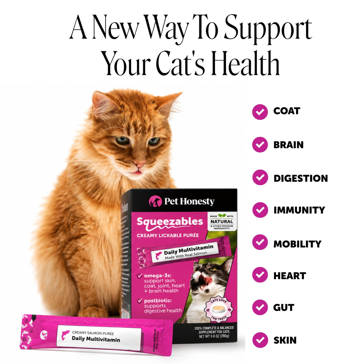 Pet Honesty Vet Backed Cat Multivitamin Lickable Puree, Salmon, 40 Ct