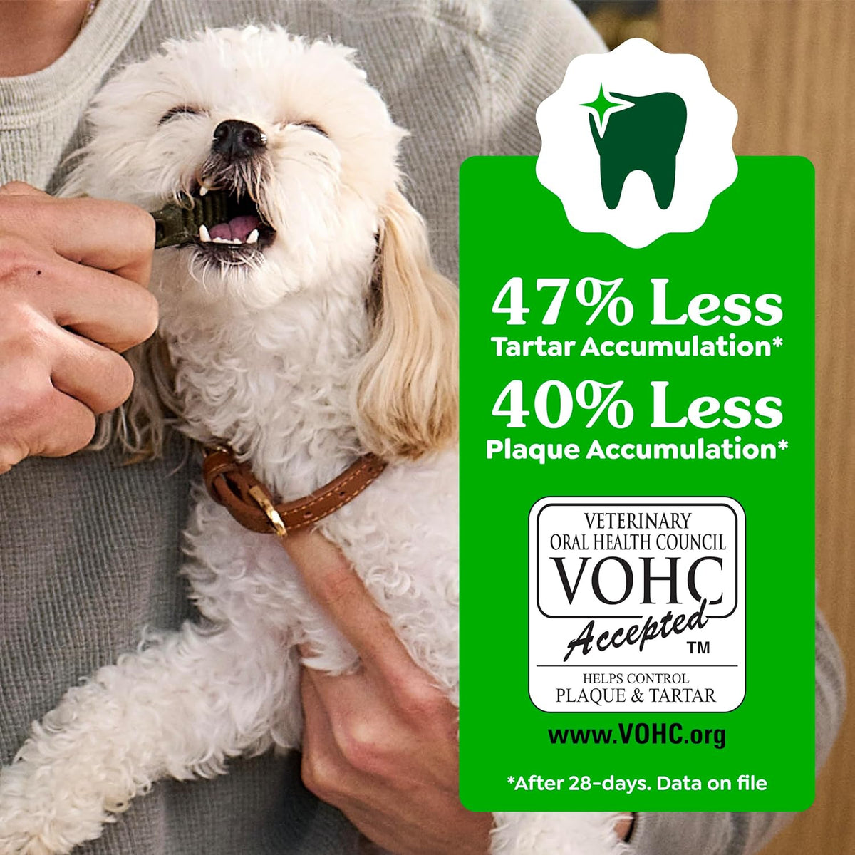 Greenies Teenie Natural Dental Dog Treats, Fresh Mint Flavor, 43 Count