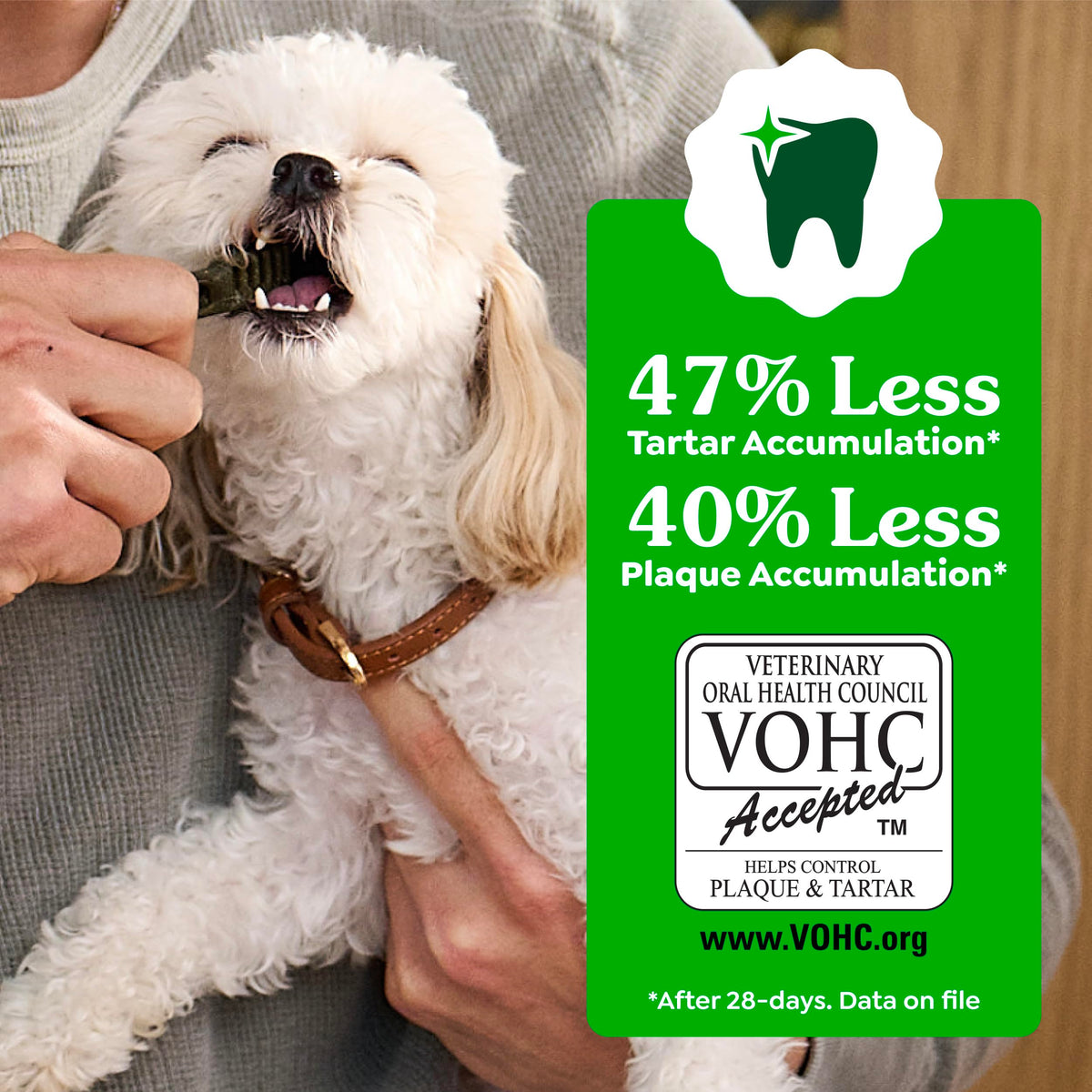 Greenies Teenie Natural Dental Dog Treats, Fresh Mint Flavor, 43 Count