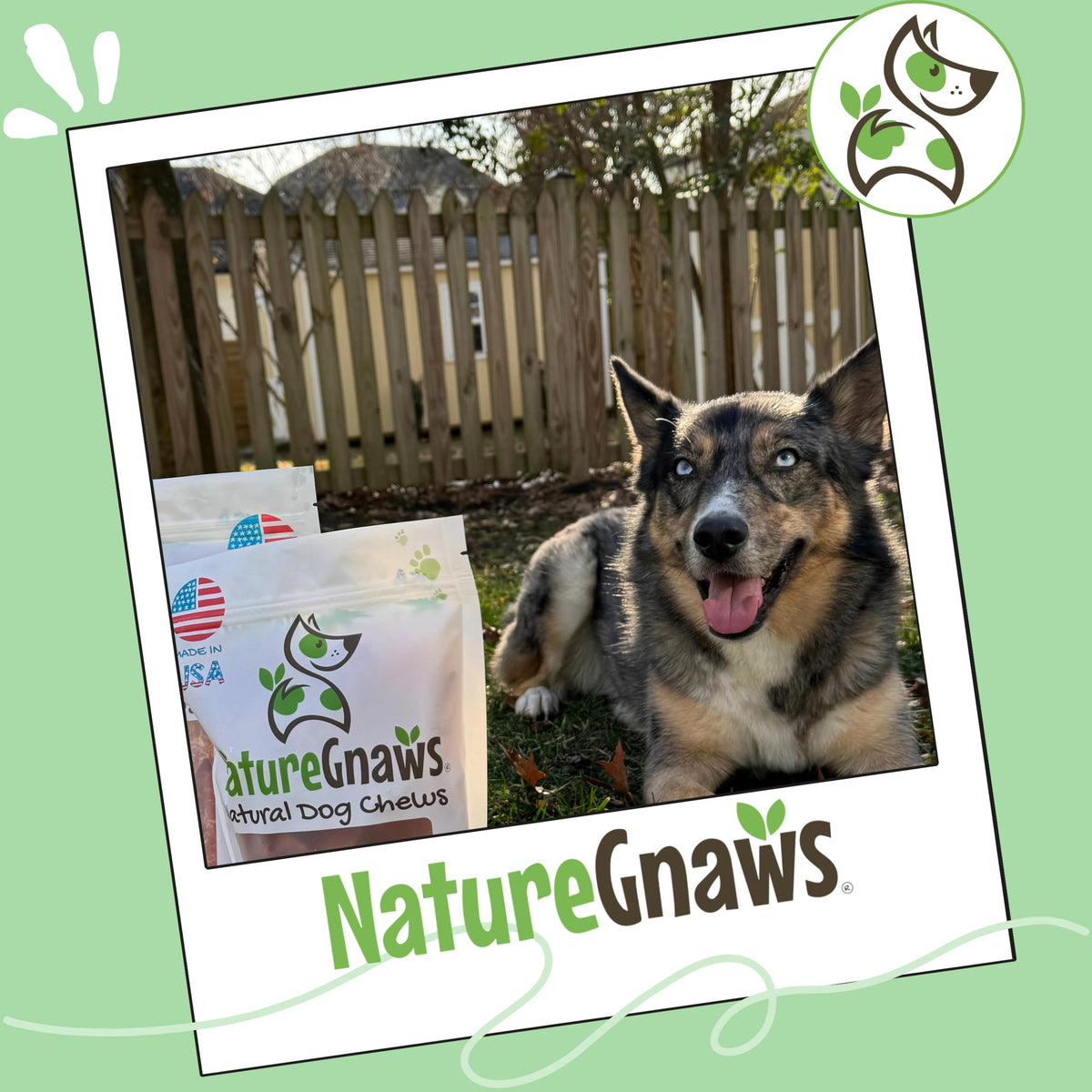 Nature Gnaws USA Turkey Tendons Dog Treats, 4 oz