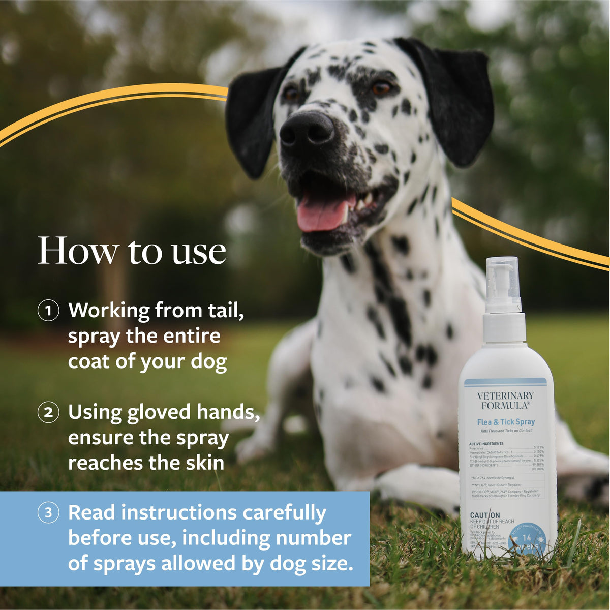 Veterinary Formula Flea and Tick Shampoo for Dogs and Cats, 16 oz