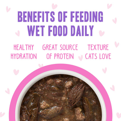 Weruva B.F.F. OMG - Best Feline Friend Oh My Gravy! Tuna & Chicken Charm Me with Tuna & Chicken in Gravy Cat Food, 3oz Pouch (Pack of 48)