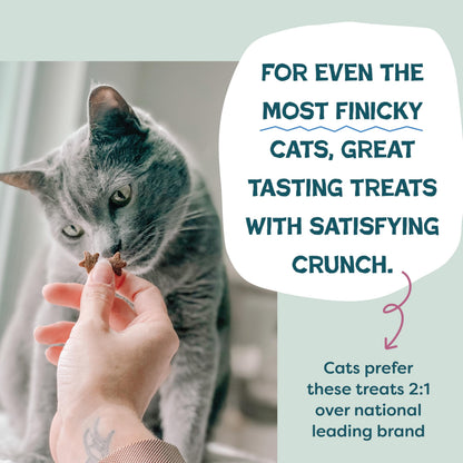 Shameless Pets Catnip N Chill Crunchy Cat Treats, 12 oz