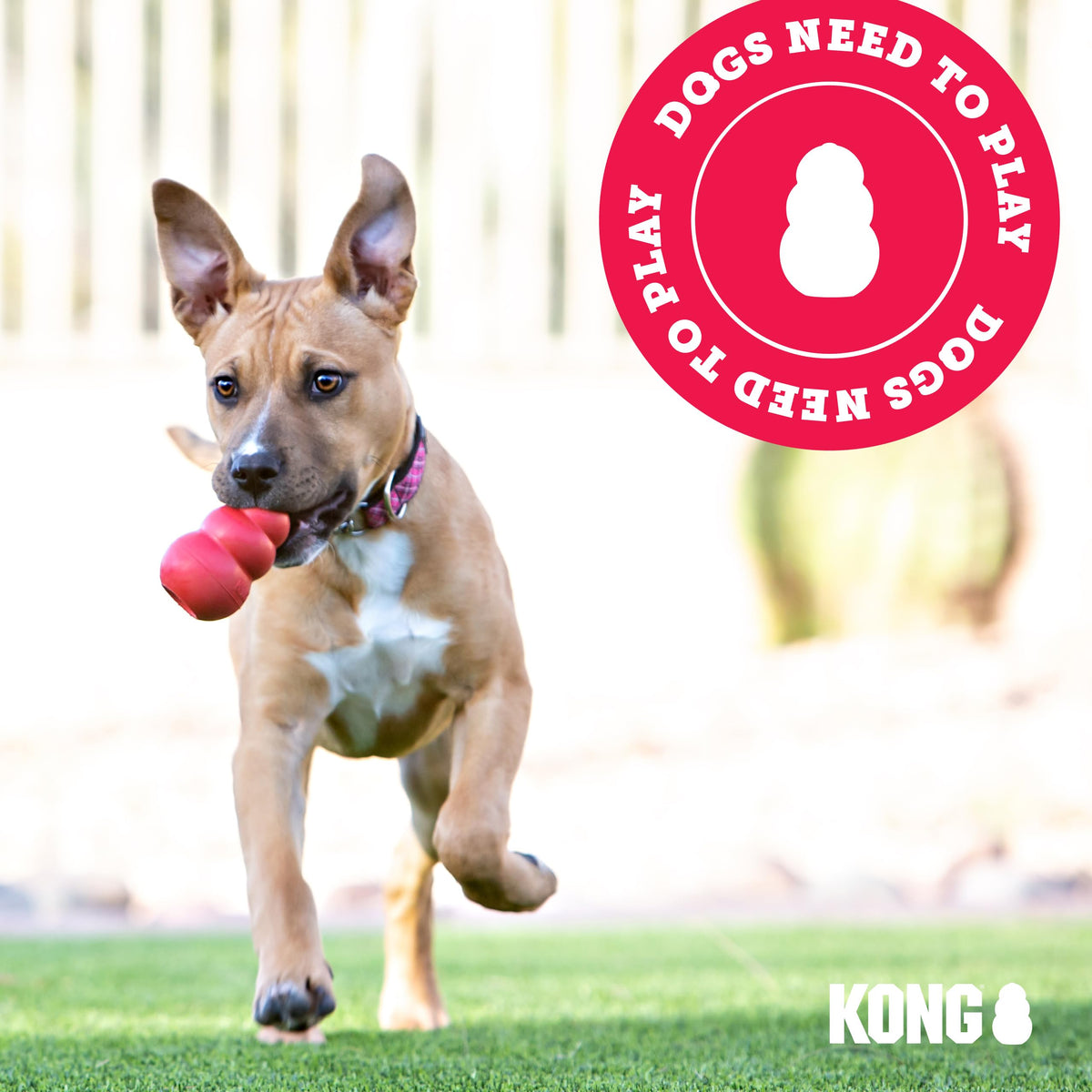 KONG Classic Stuffable Dog Toy, Natural Rubber Chew, for Large Dogs