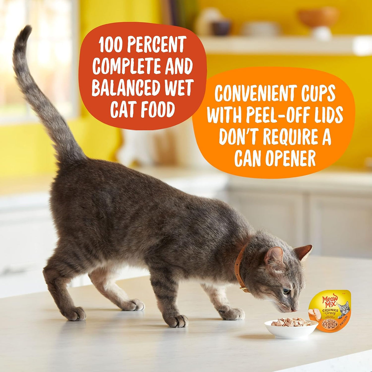 Meow Mix Chunks in Gravy, Wet Cat Food with Real Chicken Breast, 12 Cups