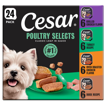 Cesar Classic Loaf Wet Dog Food, Breakfast Selects, 3.5 oz, 12 Count, 2-pk