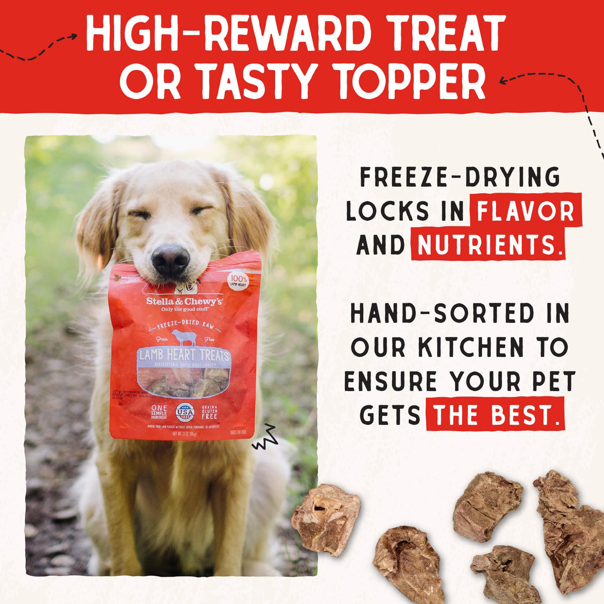 Stella & Chewy's Freeze-Dried Raw Chicken Breast Dog Treats - Single Ingredient, No Additives - Premium Training Treats - Perfect For Picky Eaters - 2.75oz Bag