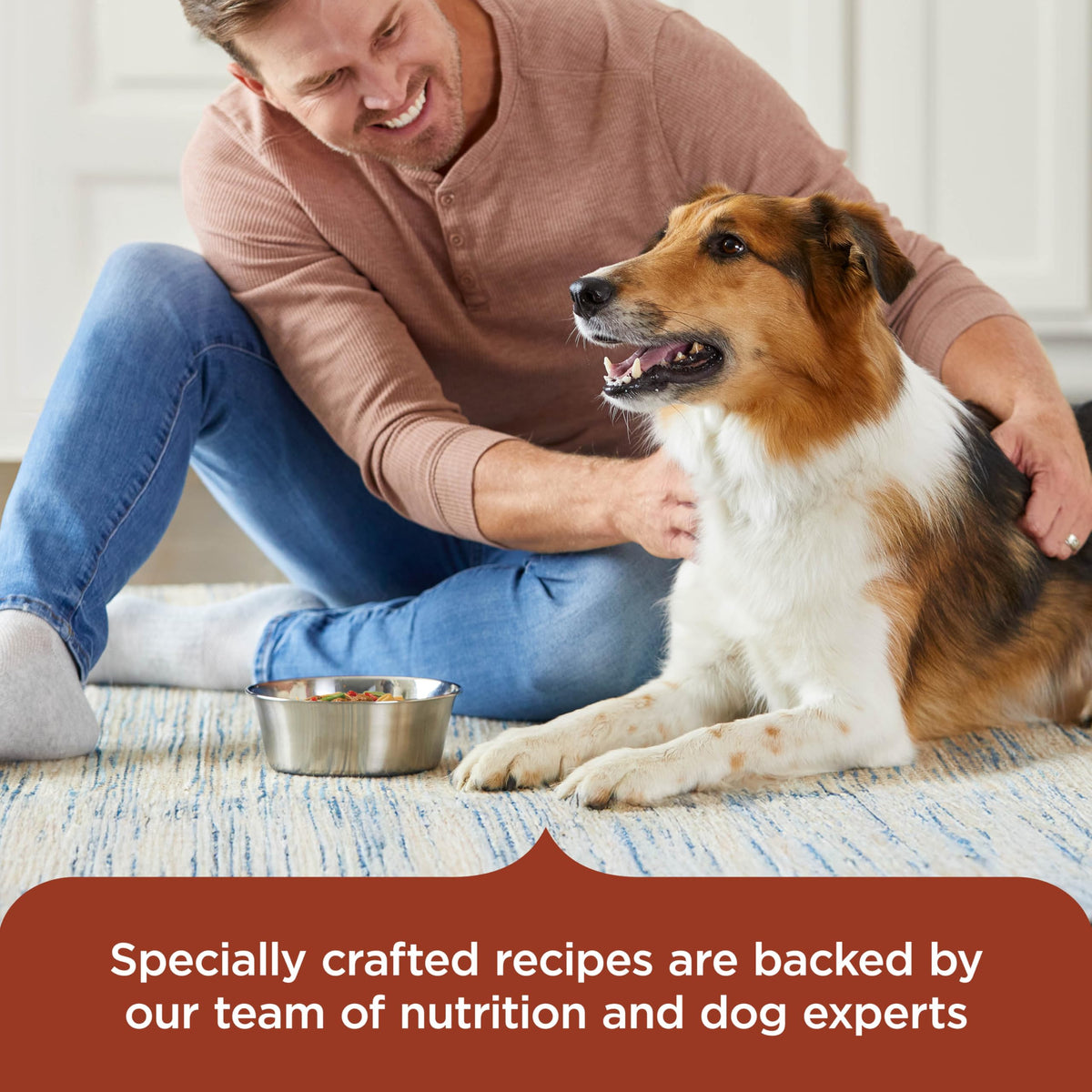 Nutrish Chicken Paw Pie Wet Dog Food, 8 oz. Tub (Pack of 8) (Rachael Ray)